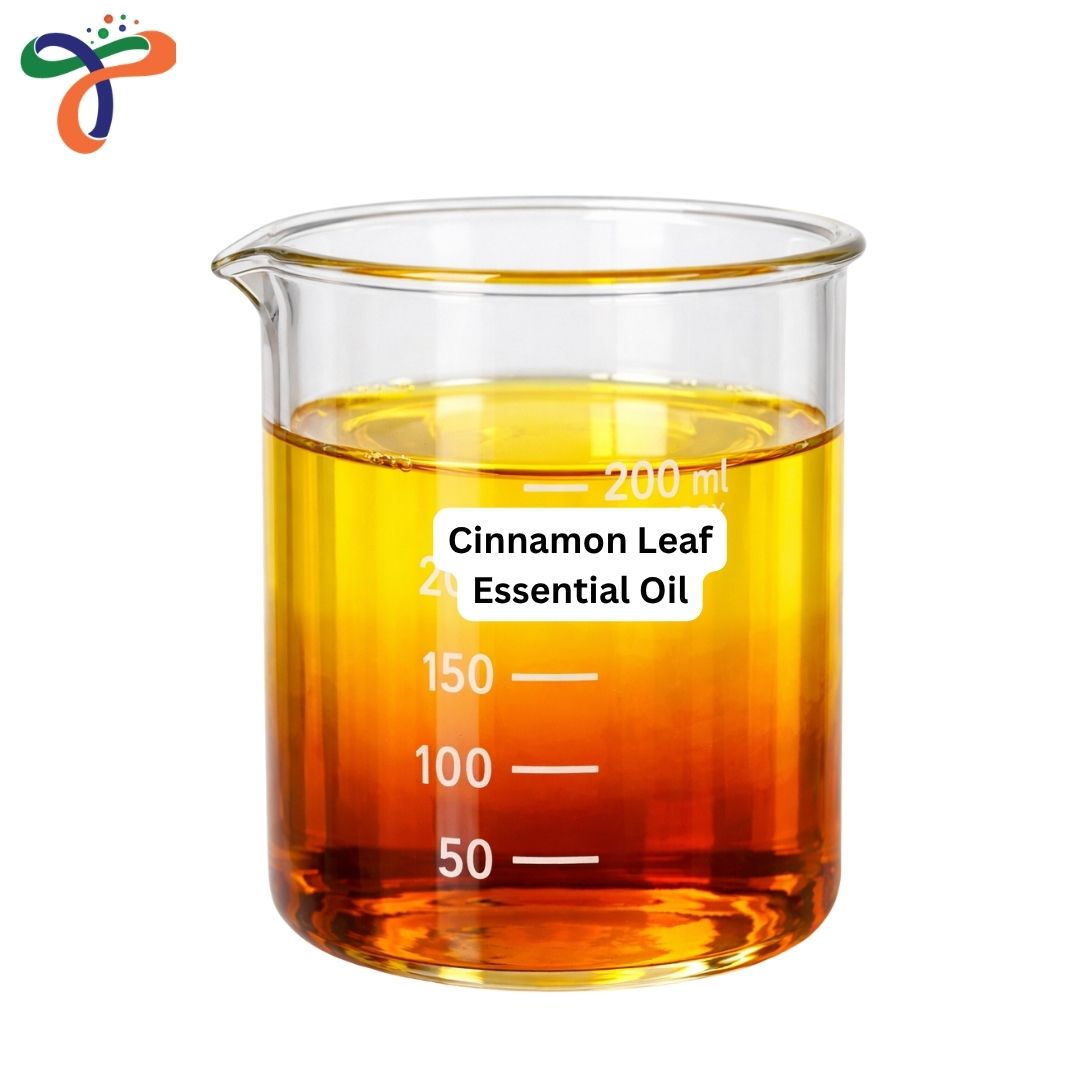 Cinnamon Leaf Essential Oil